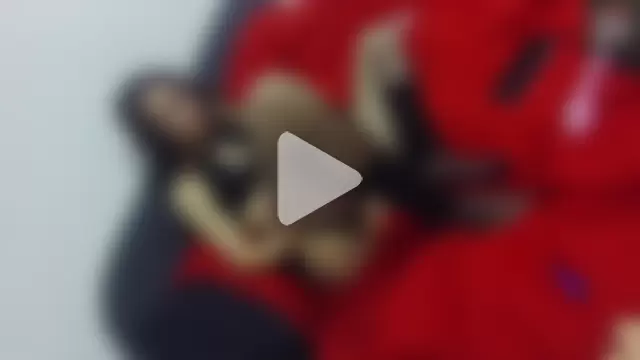 deepestDesireDelivery69 photo 8