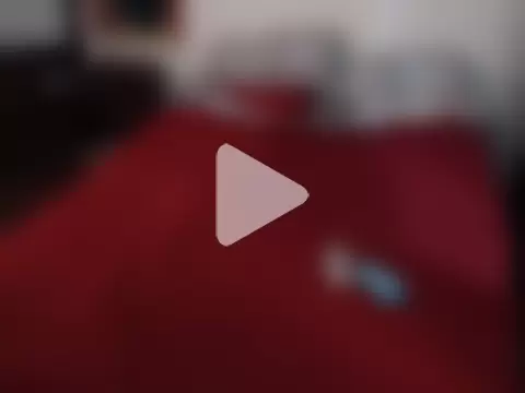 deftoolceles photo 21