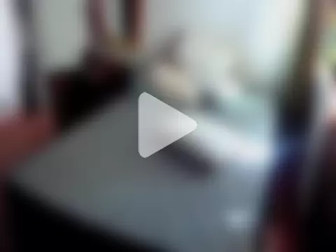 deftoolceles photo 19