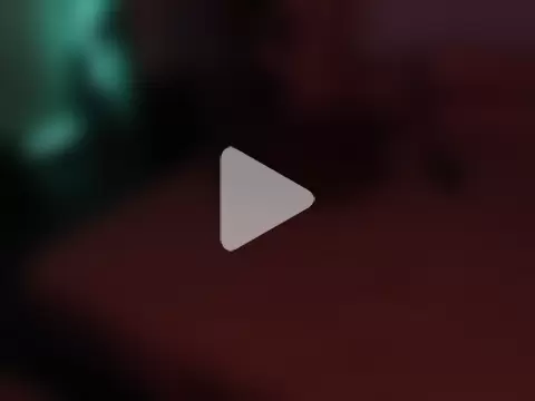 deftoolceles photo 9