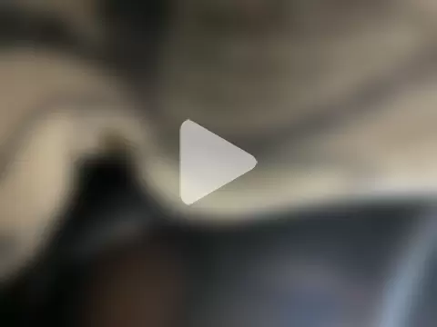 delhi_real_bull photo 2