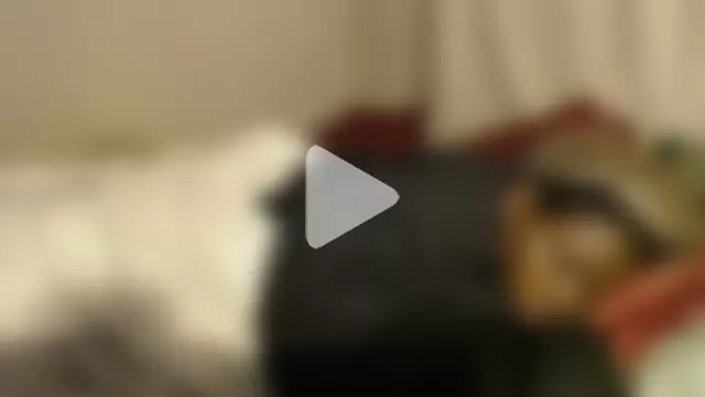 devine_TATAS photo 10