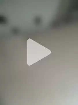 dickinyouto photo 21