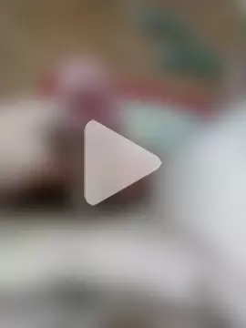 diegoscampagnollo photo 10