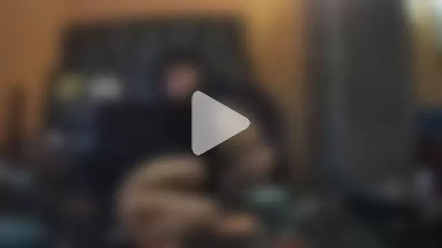 diegotorresd2312 photo 25