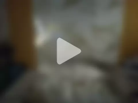 dimple_anne1 photo 1