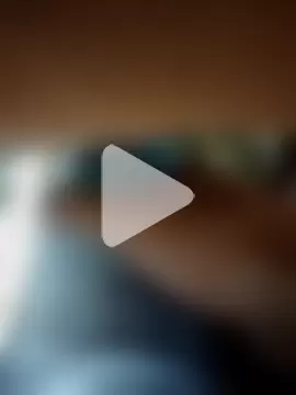 diossoll2000 photo 2