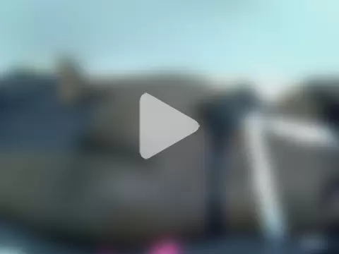 doctor_deee photo 20