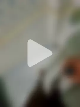 doggy69-dog photo 9