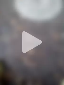 dominationmybigdick photo 16