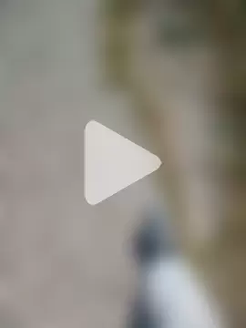 dominationmybigdick photo 10