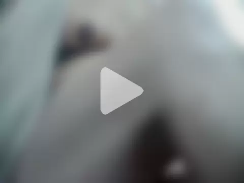 dominatrixabc photo 6