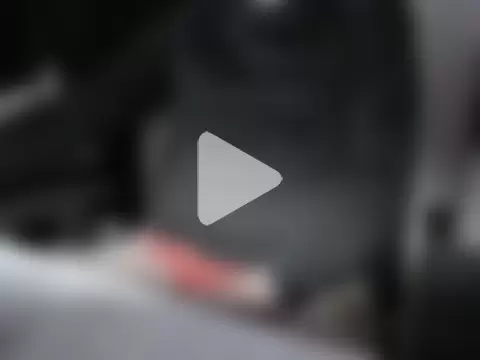 donnieverse photo 19