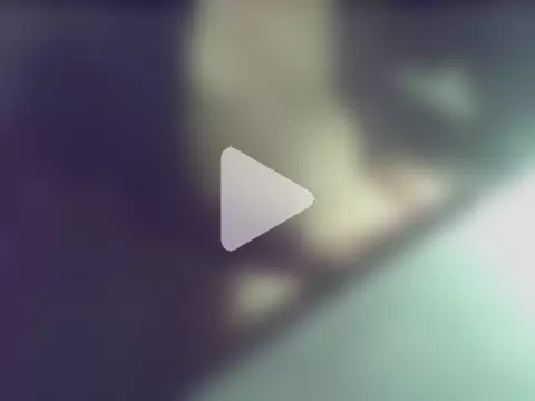 donnieverse photo 16