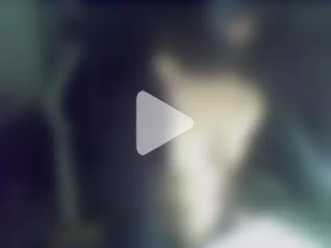 donnieverse photo 15