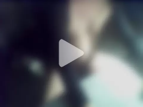 donnieverse photo 12