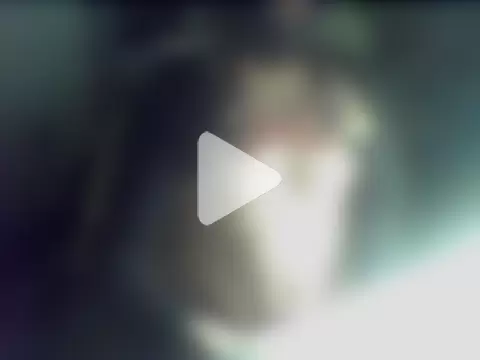 donnieverse photo 10