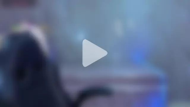 draviana_a_ photo 30