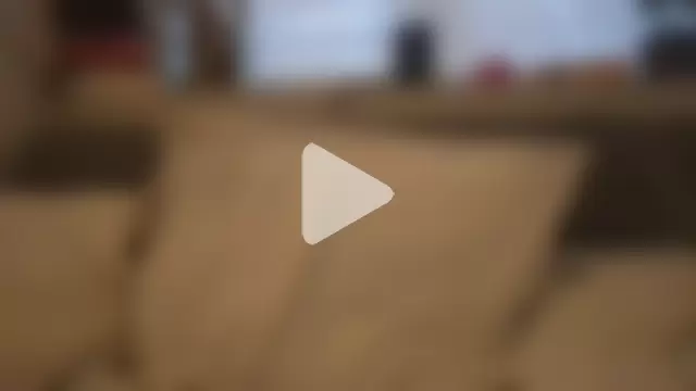 dutchpieter95 photo 7