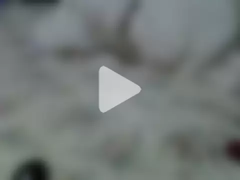 ebony_sonya photo 30