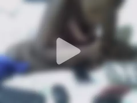 ebony_sonya photo 29