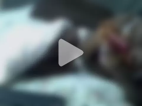 ebony_sonya photo 28