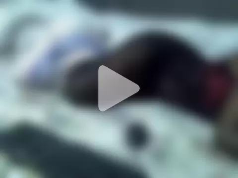 ebony_sonya photo 25