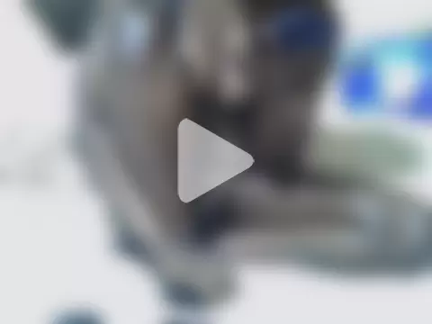 ebony_sonya photo 22