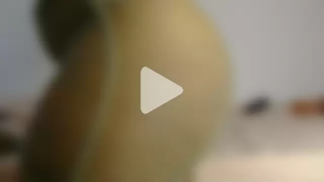 ebonybentleyxx photo 1