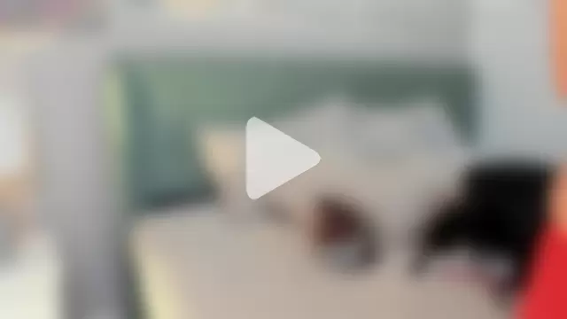 elizabeth_20 photo 16