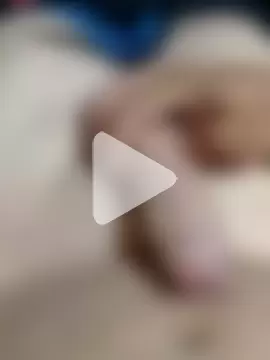 elsabandija696 photo 5