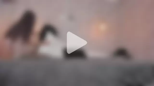 elysara_angels1 photo 3