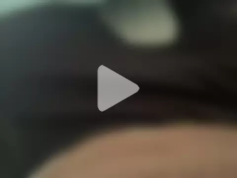 erdestruttor18 photo 4