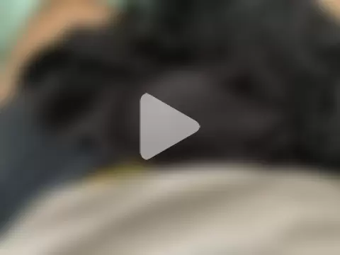 erdestruttor18 photo 1