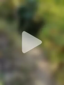 erotica_eva photo 16