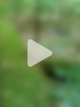 erotica_eva photo 13