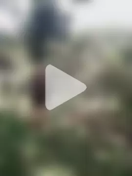 esmeralda_li photo 3