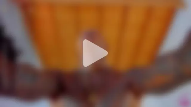 esteveen_ortegas_ photo 12