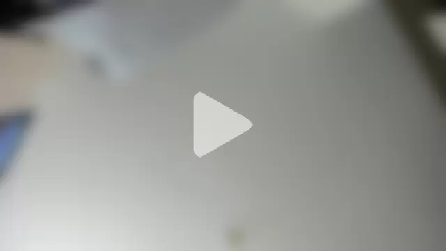 evely_coelloo photo 27