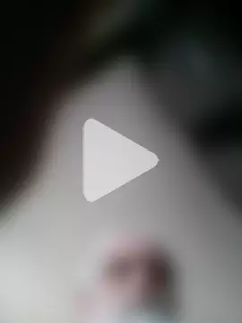 ewaldwillems99 photo 1