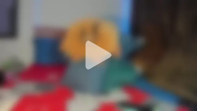 exotis_tiahara777 photo 9