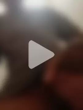 fabriciop134 photo 12