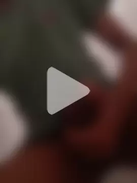 fabriciop134 photo 10