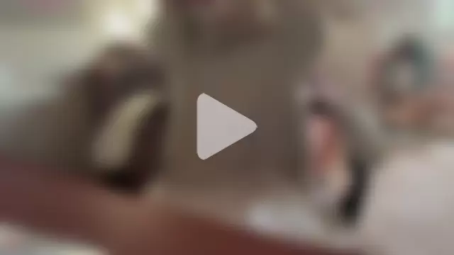 fairyxbella photo 11