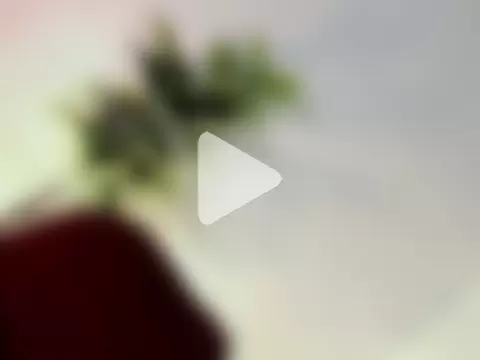 fallen_angel08 photo 25