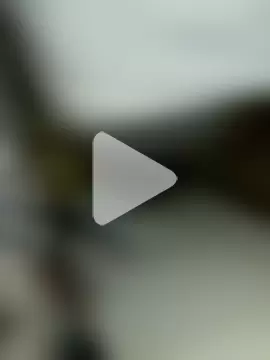 fatdudebigdic photo 3