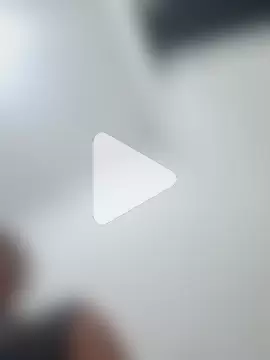 feehzungi0000 photo 11