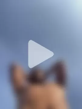 fireboyyyyy photo 23