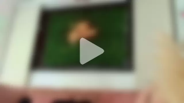 flavia_cruz photo 25