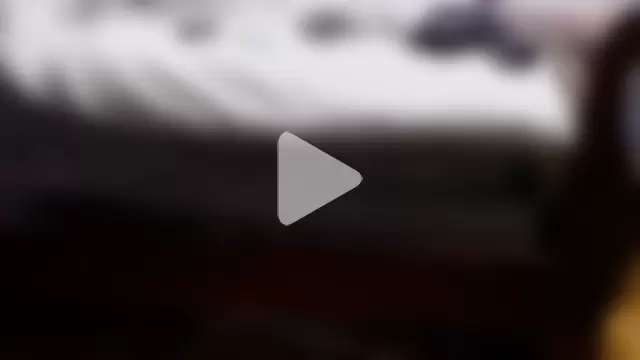 flexingplexico photo 3